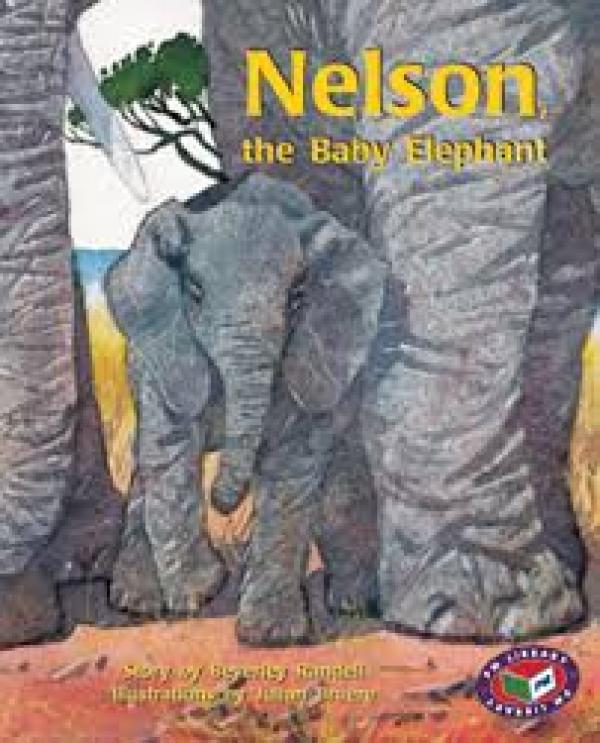 Nelson, The Baby Elephant (Level 17)