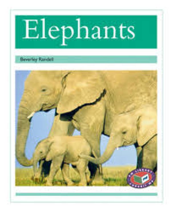Elephants (Level 17)