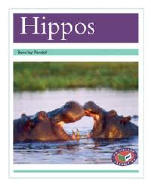 Hippos (Level 17)