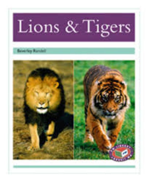 Lions & Tigers (Level 18)