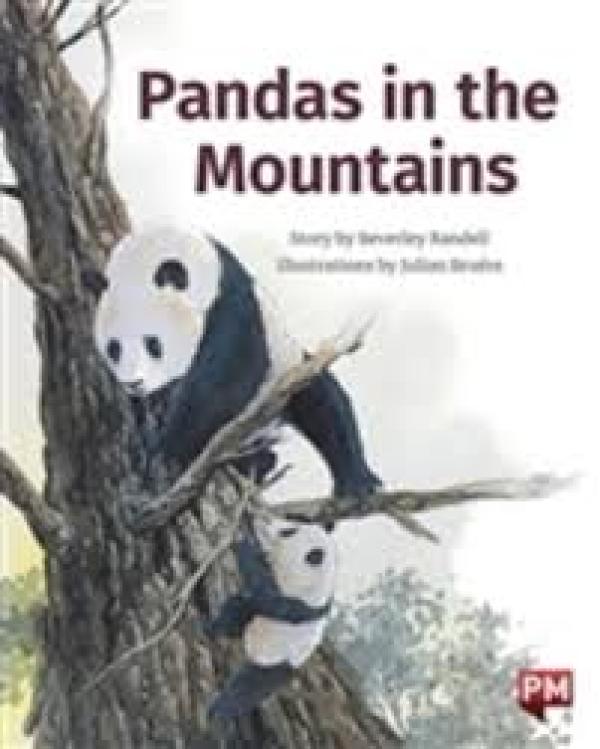 Pandas in Mountains (Level 22)