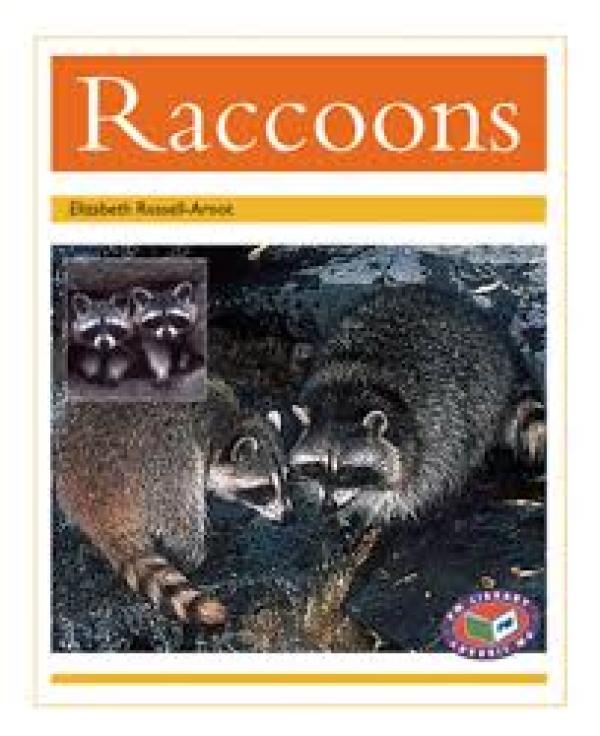 Racoons (Level 22)