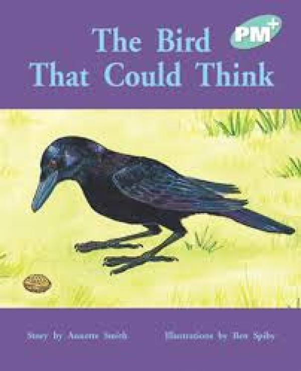 Bird That Could Think (Level 17)