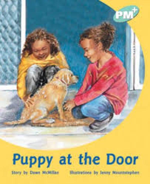 Puppy at the Door (Level 18)