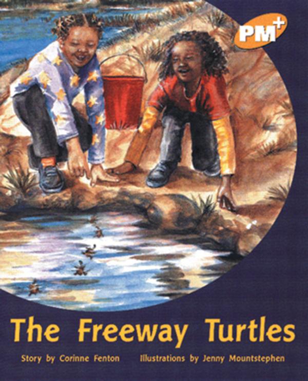 Highway Turtles,The (Level 22)