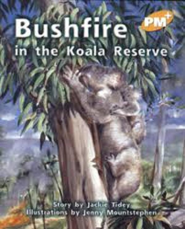 Bushfire in the Koala Reserve (LVL 22)