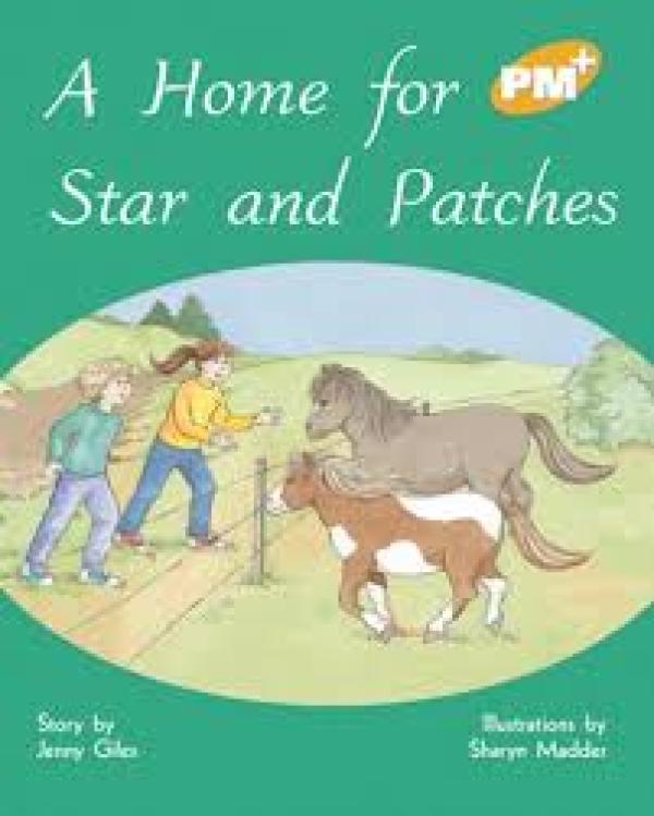 Home for Star and Patches,A (Level 22)