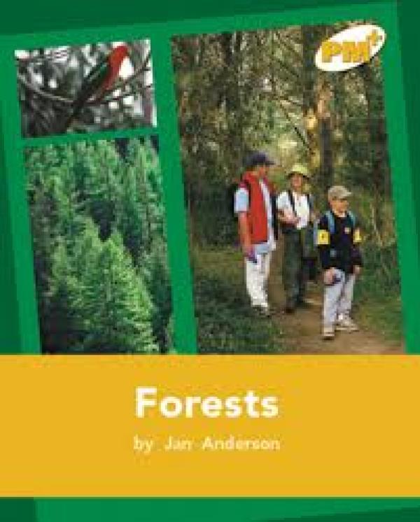 Forests, Bush, And Swamps (LVL 22-23)