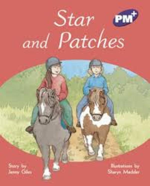 Star & Patches (Level 19)