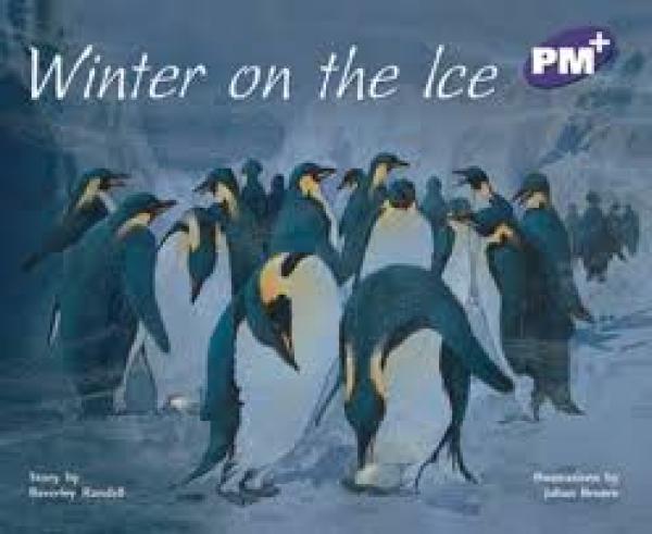 Winter on the Ice (Level 20)
