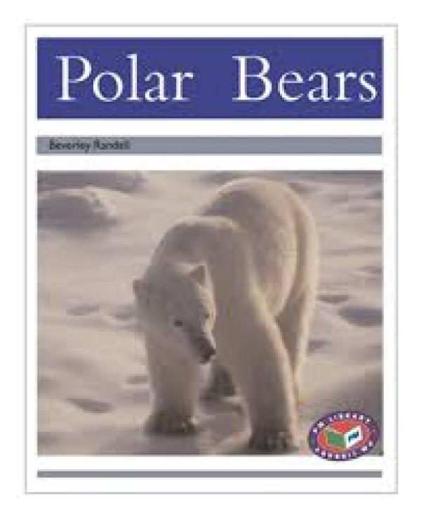Polar Bears (LVL 23 Animal Facts)