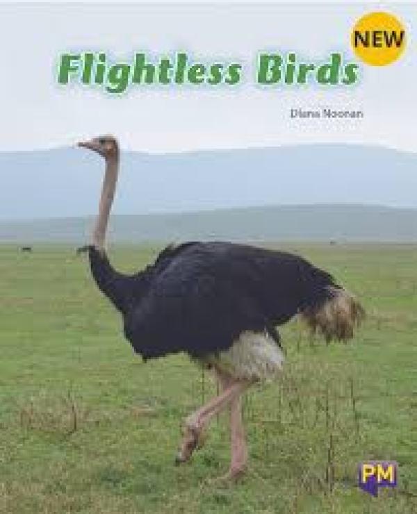 Flightless Birds (Level 18)