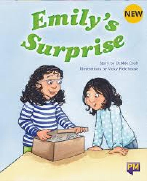 Emily's Surprise (Level 19)