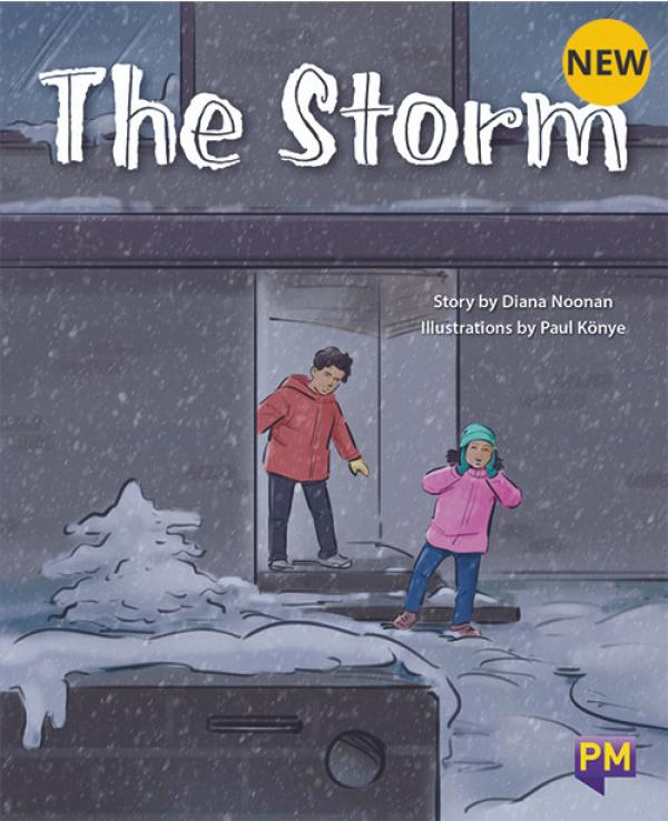 The Storm (Level 20)