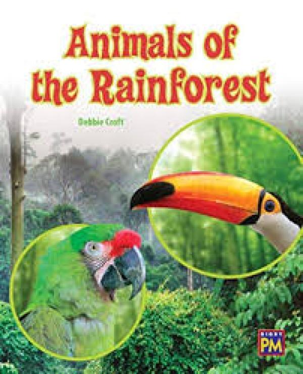 Animals of the Rain Forest (Level 20)