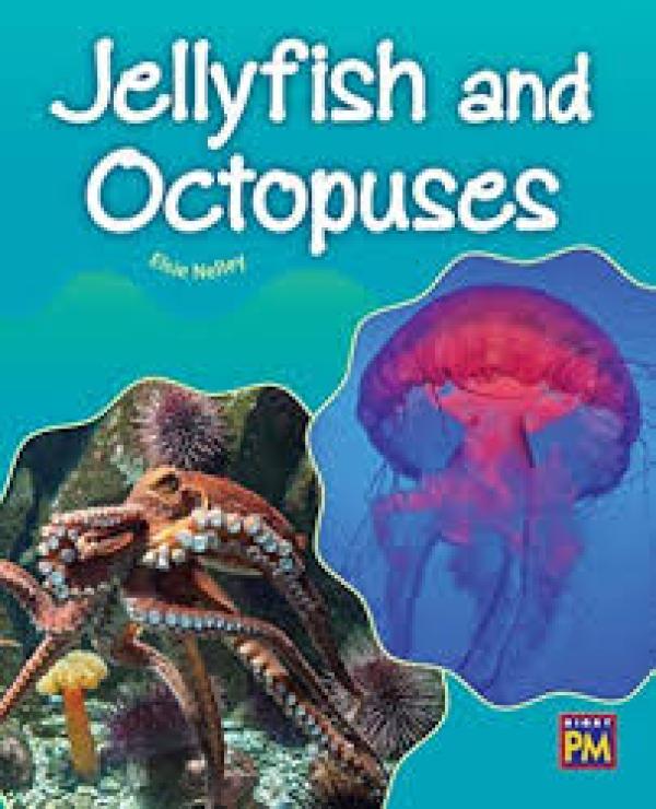 Jellyfish and Octopuses (Level 21)