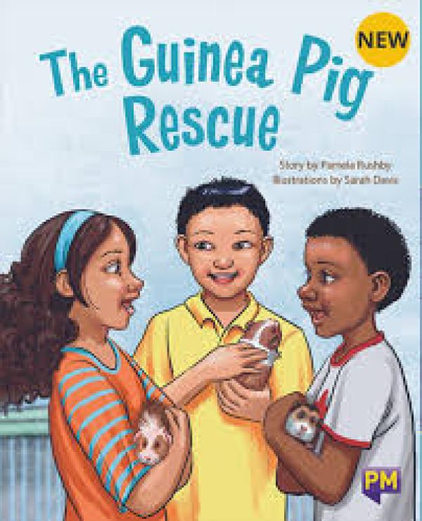 The Guinea Pig Rescue (Level 21)