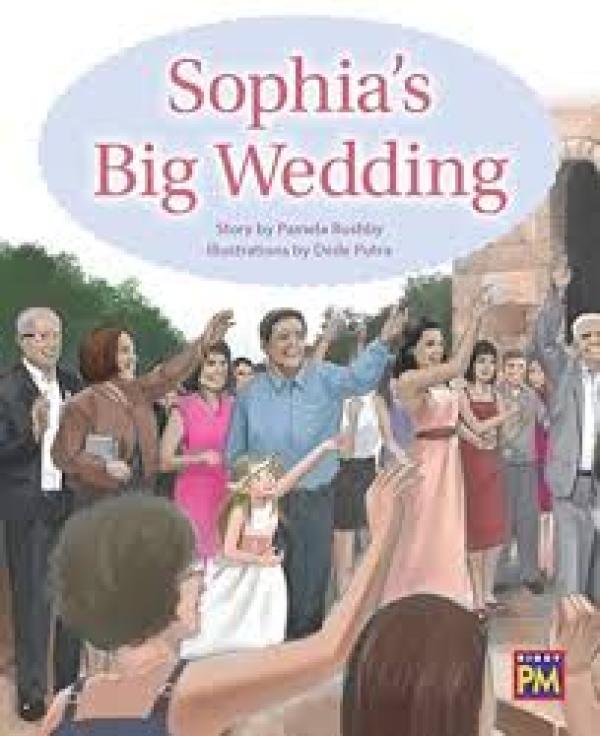 Sophia's Big Wedding (Level 22)