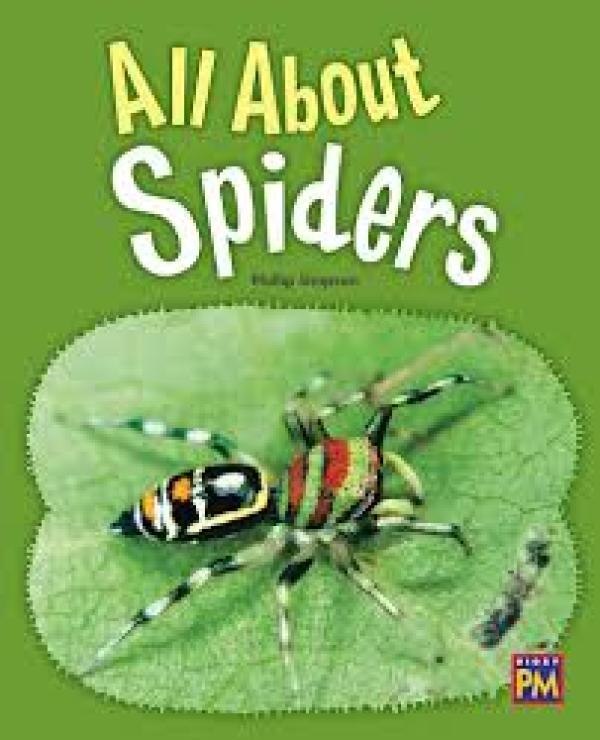 All About Spiders (Level 22)