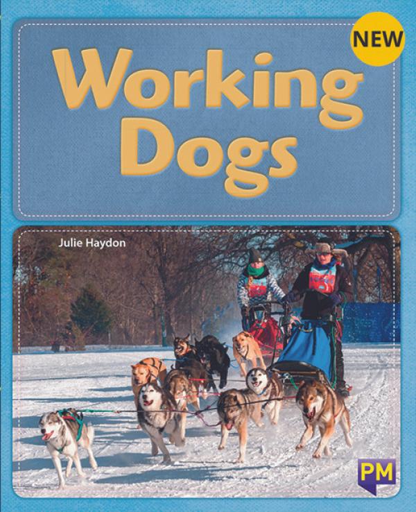 Working Dogs (Level 22)