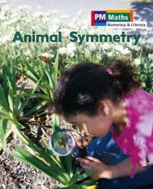 Animal Symmetry (Level 10-14)
