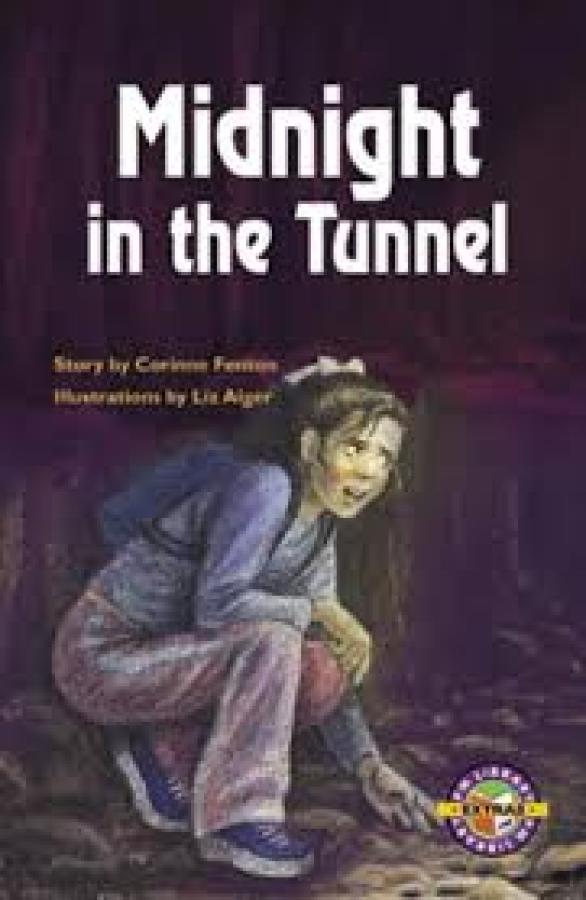 Midnight in the Tunnel (Level 26)