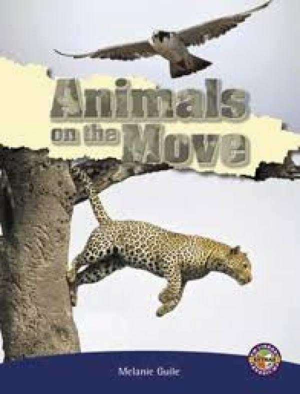 Animals on the Move (LVL 29)