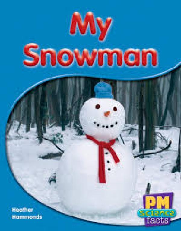 My Snowman (Level 5-6)