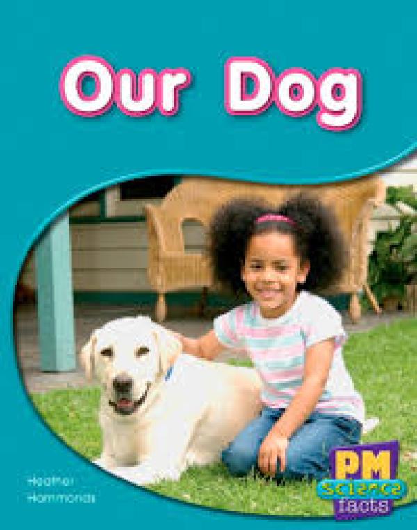 Our Dog (Level 5-6)