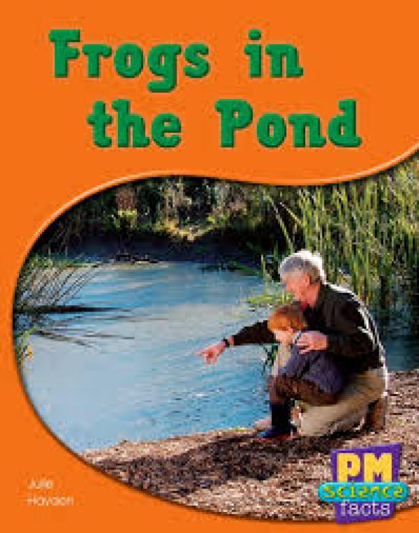 Frogs in the Pond (Level 5-6)