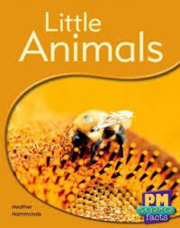 Little Animals (Level 8-9)