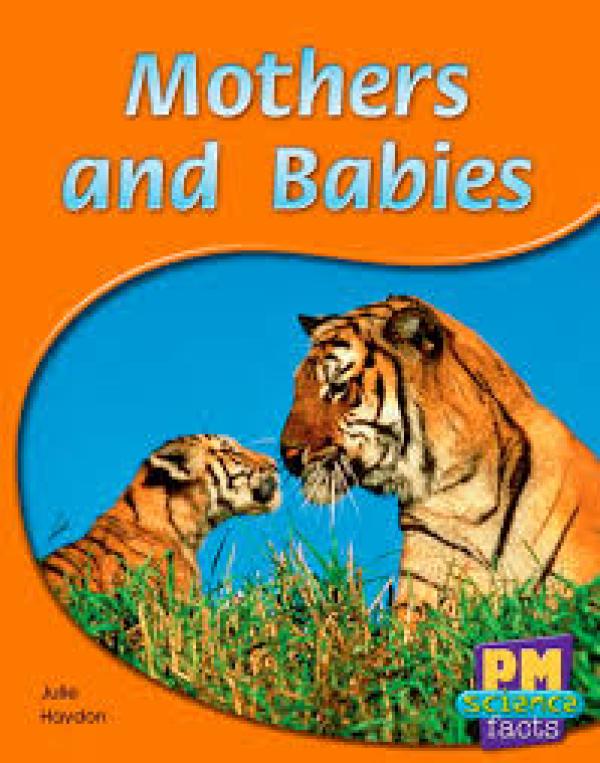 Mothers and Babies (Level 8-9)