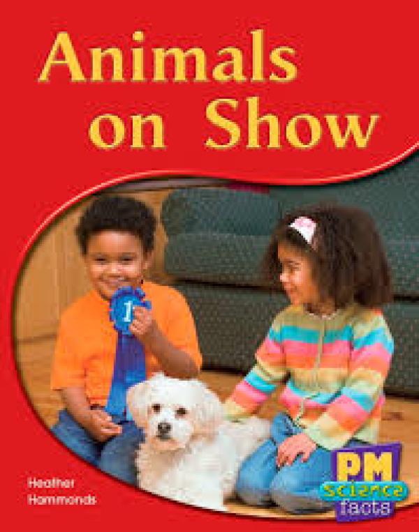 Animals on Show (Level 8-9)