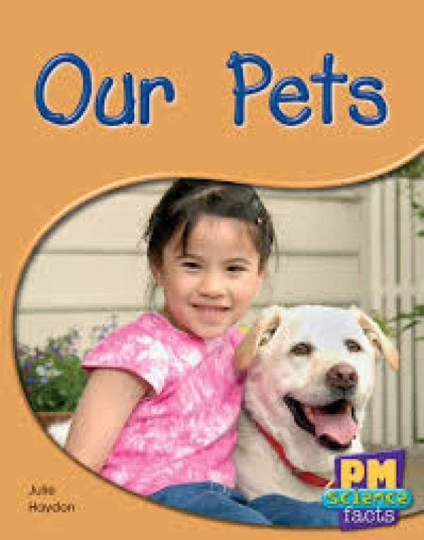 Our Pets (Level 8-9)