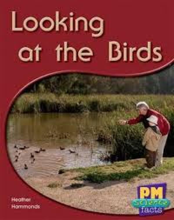 Looking at the Birds (Level 8-9)