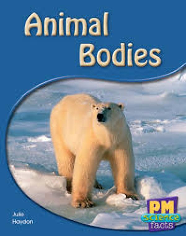 Animal Bodies (Level 8-9)