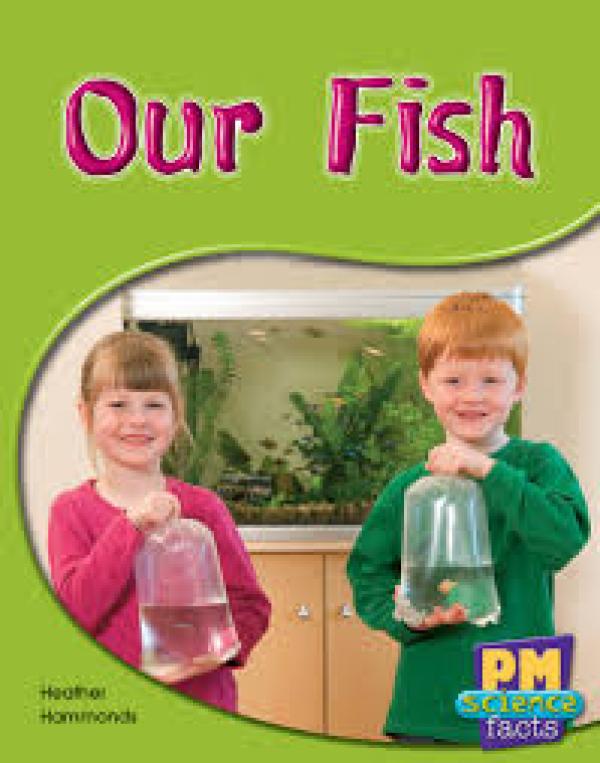 Our Fish (Level 8-9)
