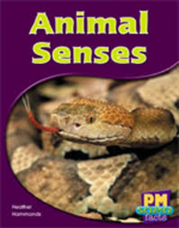 Animal Senses (Level 11-12)