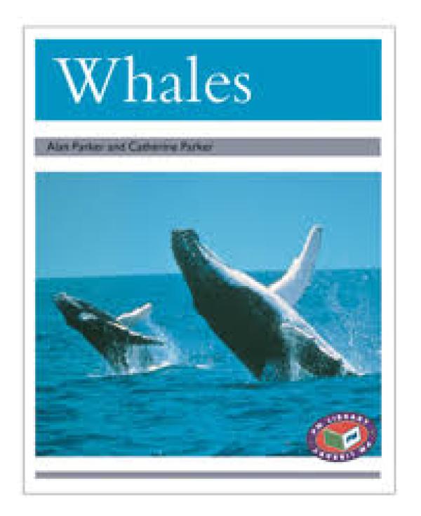 Whales (Level 24)