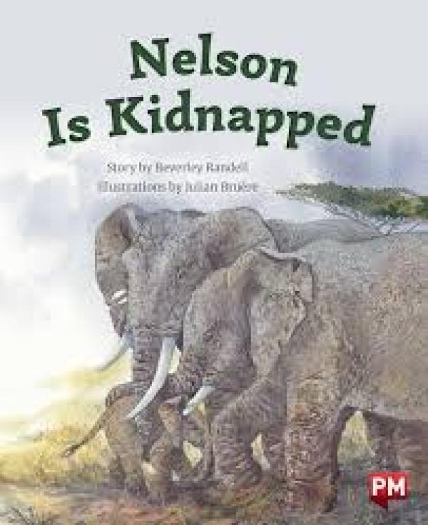 Nelson is Kidnapped (Level 23)