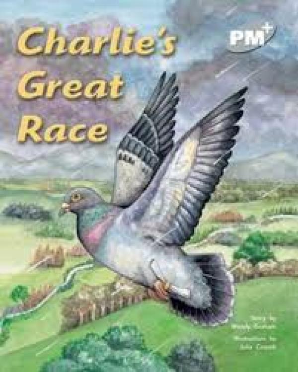 Charlie's Great Race (Level 24)