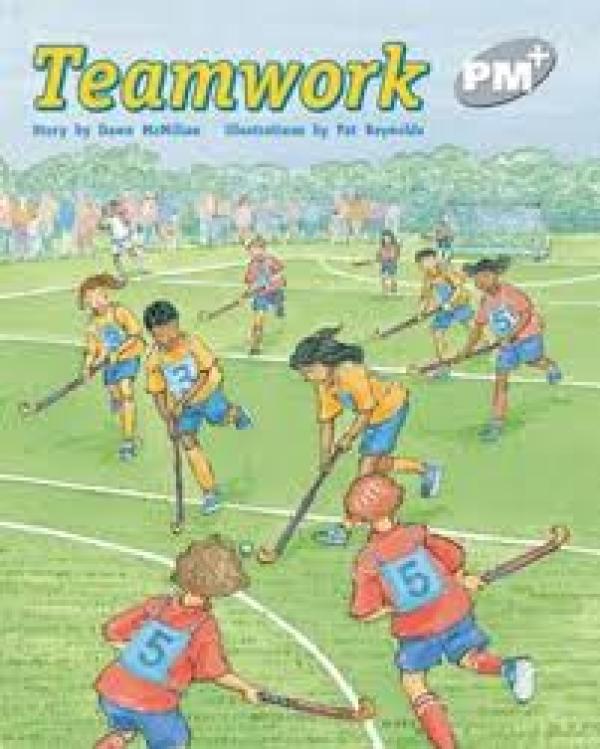 Team Work (Level 24)