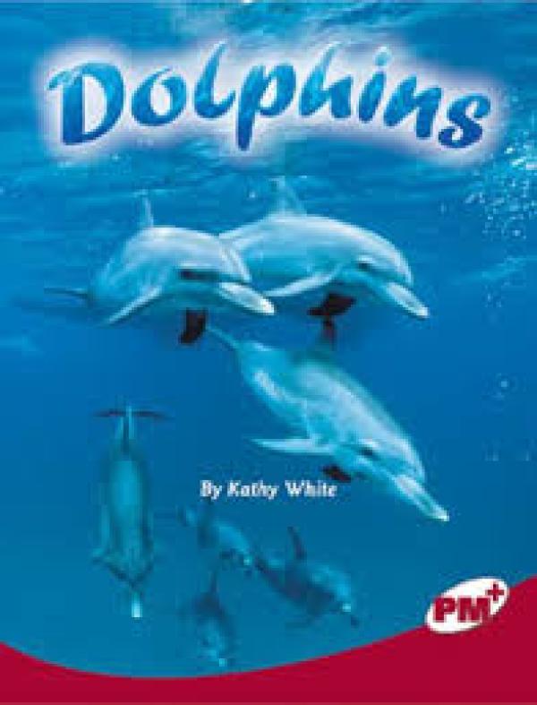 Dolphins (LVL 27 Nonfict)