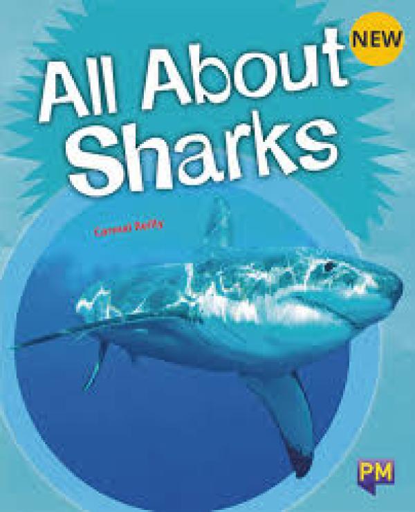 All About Sharks (Level 23)