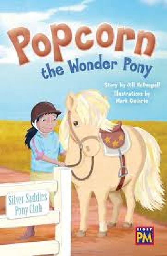 Popcorn the Wonder Pony (LVL 25)