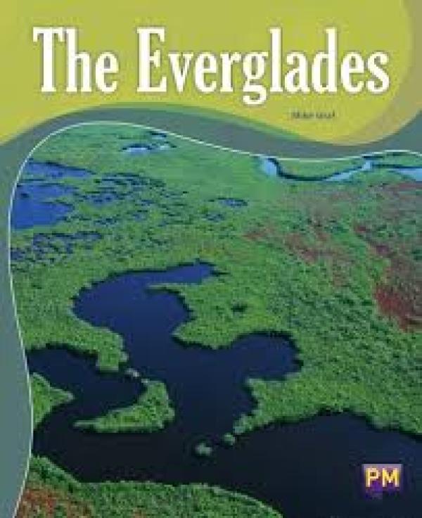The Everglades (LVL 26)