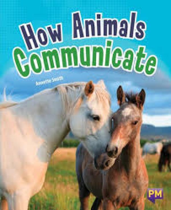 How Animals Communicate (LVL 27)