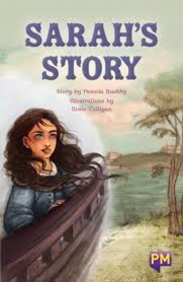 Sarah's Story (Level 29)