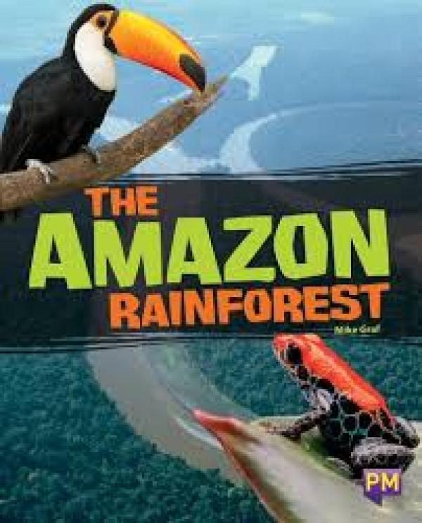 The Amazon Rainforest (LVL 29)