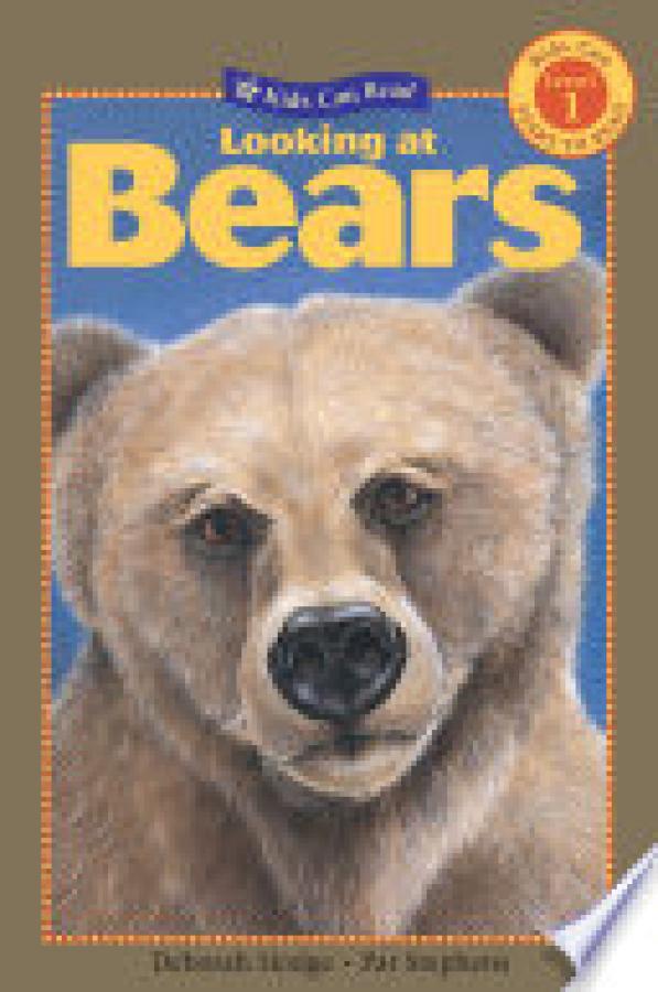Looking at Bears